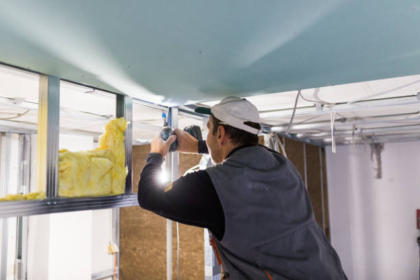 Best Residential Insulation in Goshen, AR