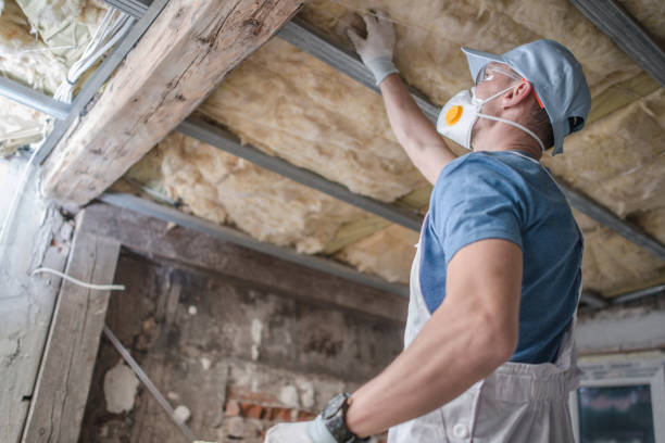 Best Types of Insulation in Goshen, AR