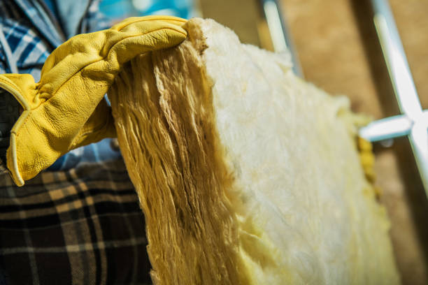 Best Insulation Maintenance and Repair in Goshen, AR